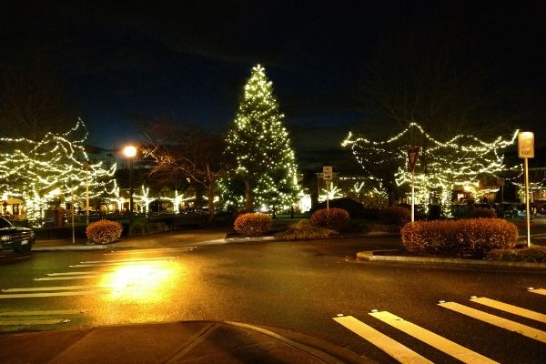 Commercial Holiday Lighting Service Company Near Me in Bellevue WA 16