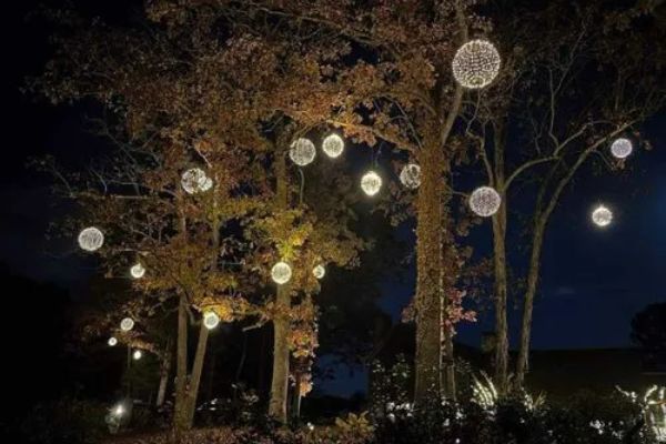 Commercial Holiday Lighting Service Company Near Me in Bellevue WA 18