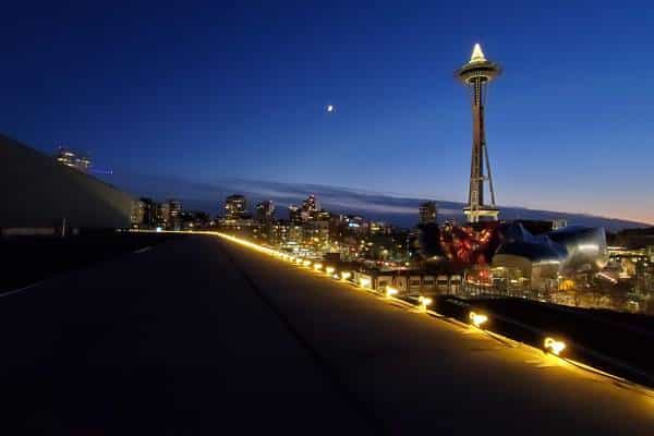 Commercial Holiday Lighting Service Company Near Me in Bellevue WA 003