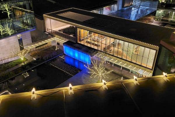 Commercial Holiday Lighting Service Company Near Me in Bellevue WA 006