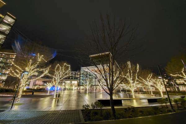 Commercial Holiday Lighting Service Company Near Me in Bellevue WA 008