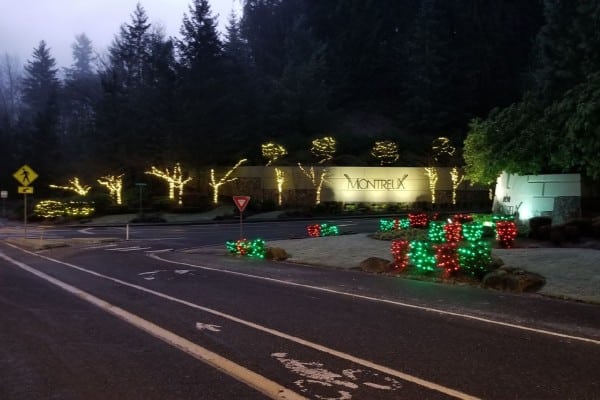 Commercial Holiday Lighting Service Company Near Me in Bellevue WA 016