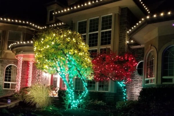 Residential Christmas Lighting Service Company Near Me in Bellevue WA 010